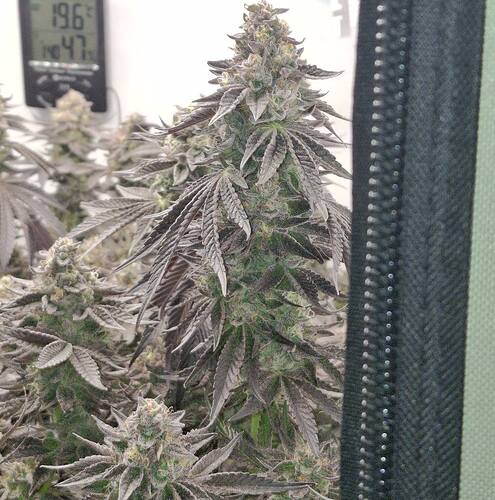 480895041_122170051238293599_3122160743228594144_n