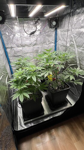 Growreport Bild 2