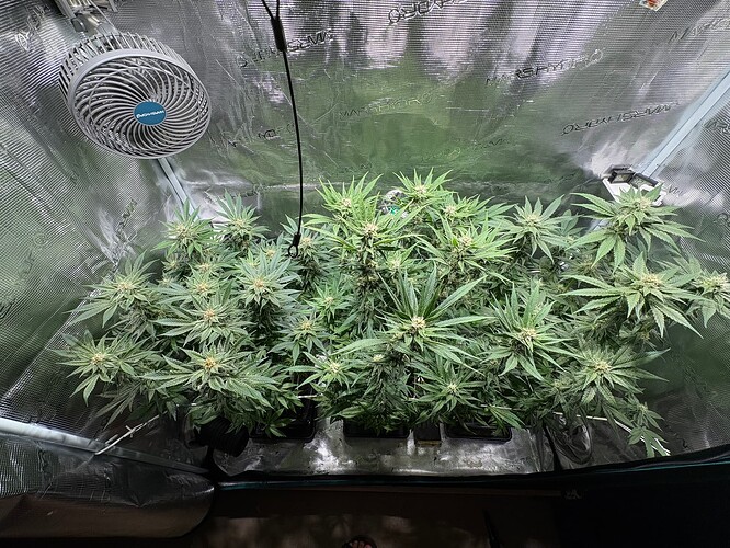 Foto 19.07.25, 05 57 33