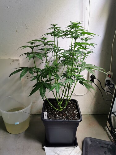 Growreport Bild 15