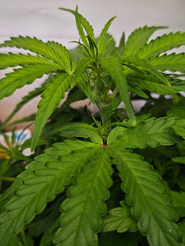 MVIMG_20251015_213513