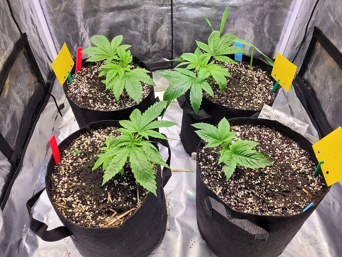 Growreport Bild 11