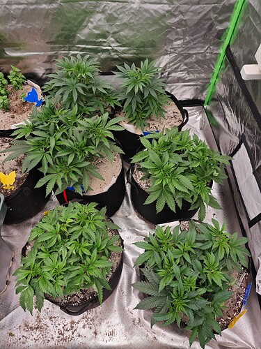 Growreport Bild 10
