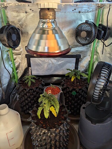 Growreport Bild 4