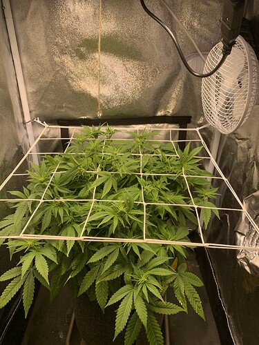 Growreport Bild 2