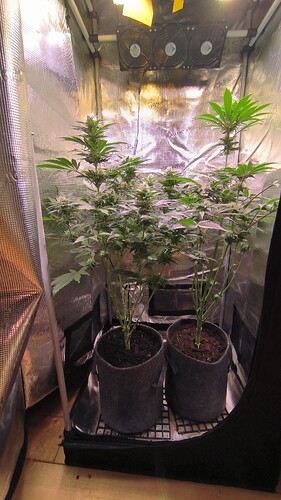 Growreport Bild 11