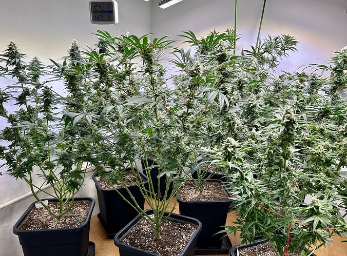 Growreport Bild 2