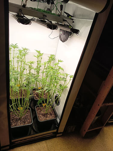 Growreport Bild 22