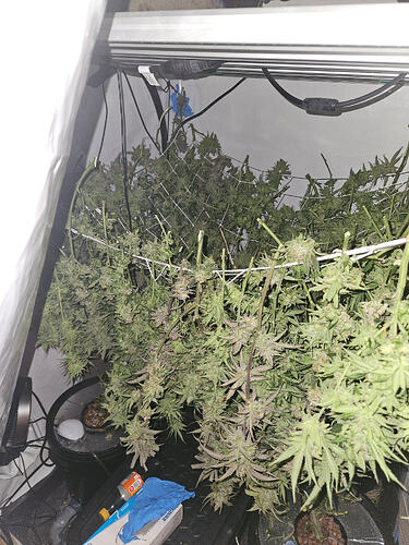 Growreport Bild 6