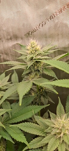 Growreport Bild 11