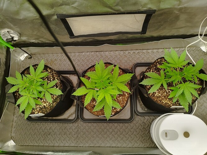 Growreport Bild 12