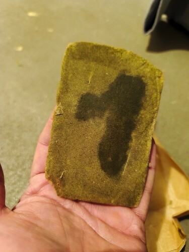 Growreport Bild 9