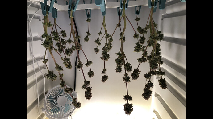 Growreport Bild 4