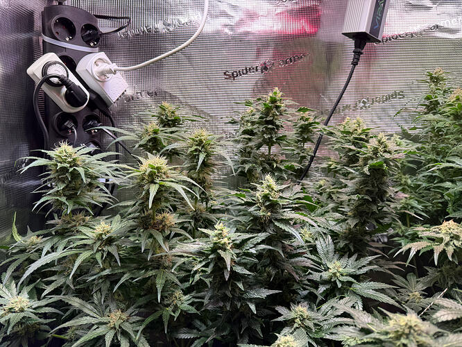 Growreport Bild 15