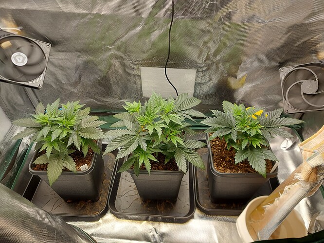 Growreport Bild 7