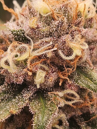 Growreport Bild 10