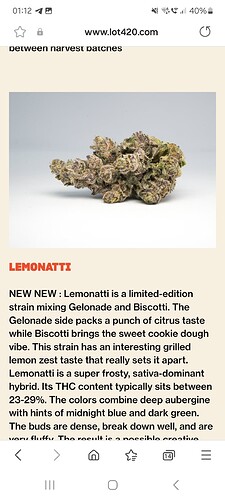 Screenshot_20250112_011239_Samsung Internet