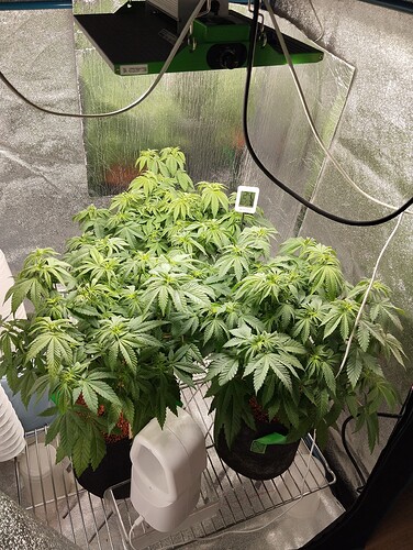 Growreport Bild 12