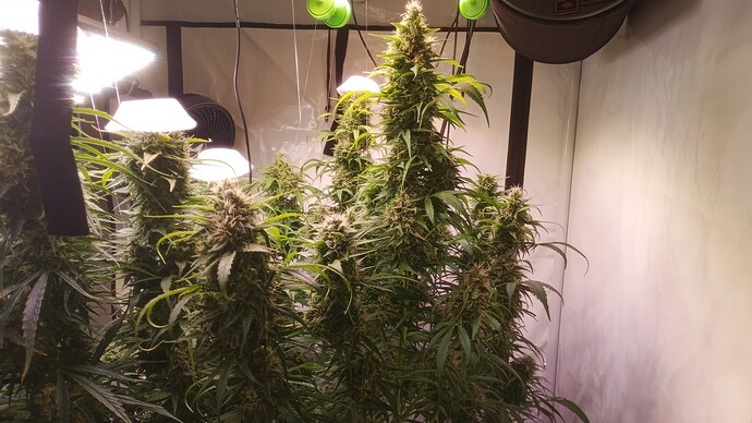 Growreport Bild 9