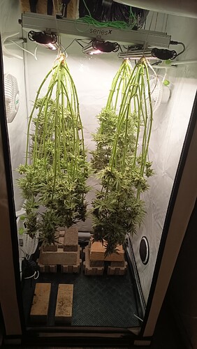 Growreport Bild 24