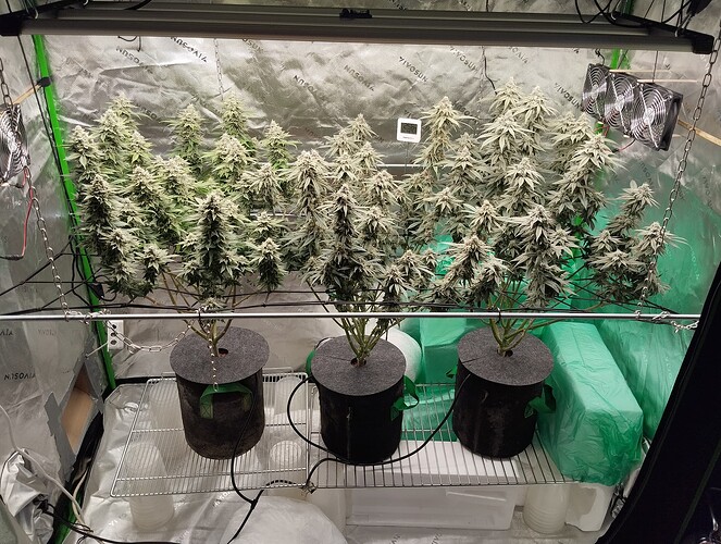 Growreport Bild 8