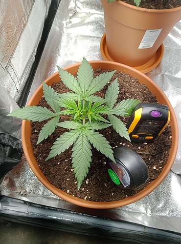 Compress_20240606_193727_7230