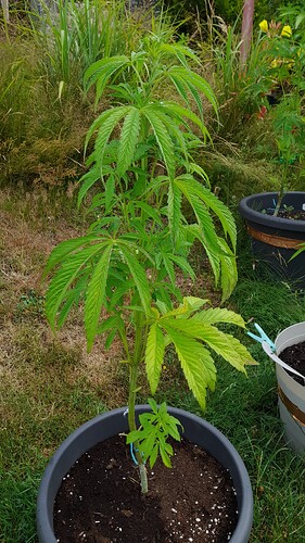 Growreport Bild 24