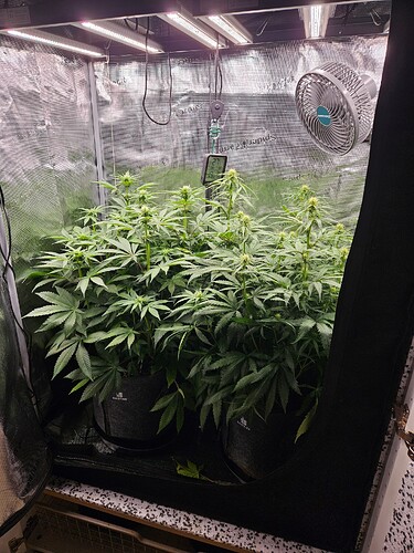 Growreport Bild 1