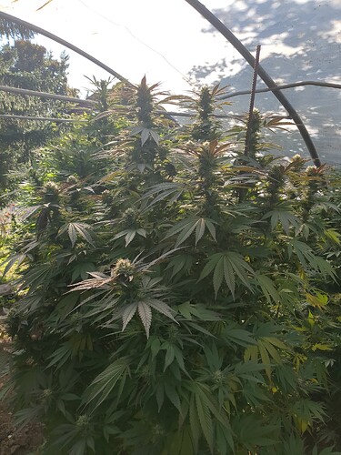 2025-10-02-16-12-36-759