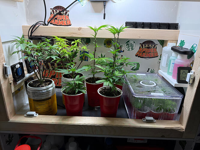 Growreport Bild 24