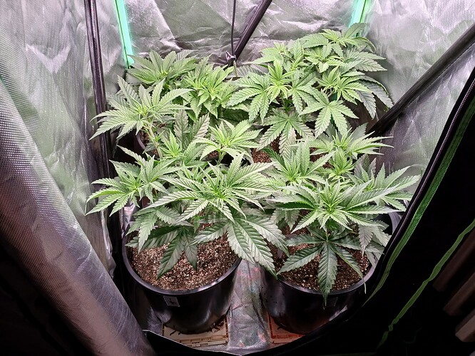 Growreport Bild 10