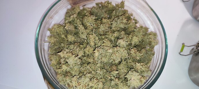 Growreport Bild 58
