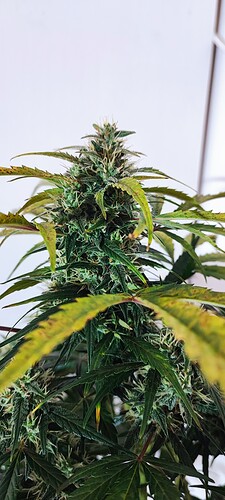 Growreport Bild 16