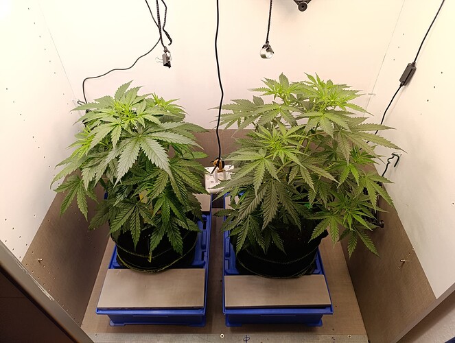 Growreport Bild 17