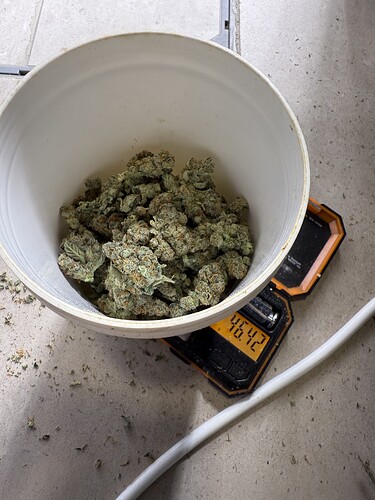 Growreport Bild 10