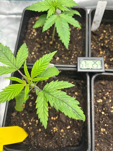 WhatsApp Image 2024-07-28 at 21.14.41 (2)