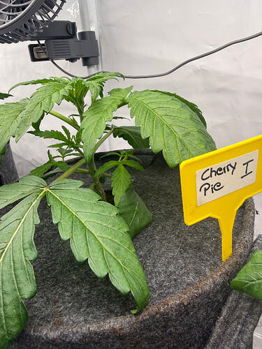 Growreport Bild 13