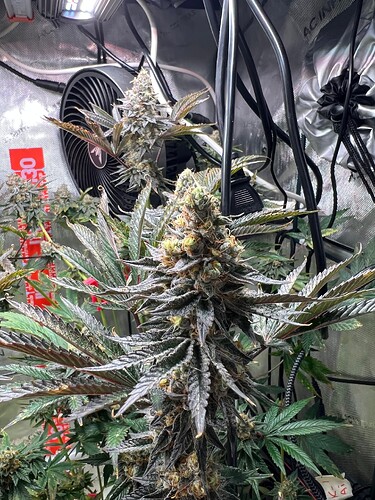Growreport Bild 8