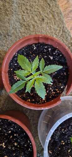 WhatsApp Bild 2024-04-15 um 12.38.29_d8101278