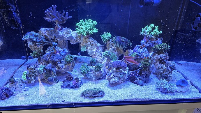 Growreport Bild 28
