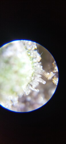 Growreport Bild 14