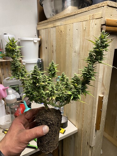 Growreport Bild 53
