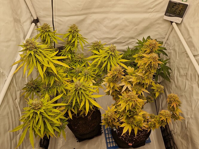 Growreport Bild 8