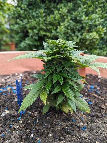 PXL_20240614_134240937