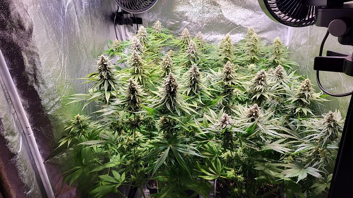 Growreport Bild 6
