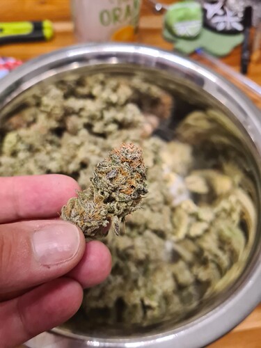 Growreport Bild 10