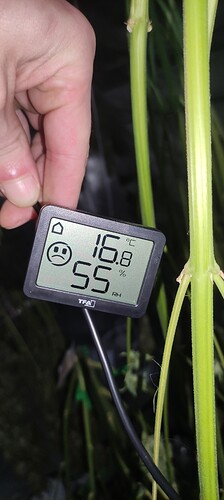 Growreport Bild 11