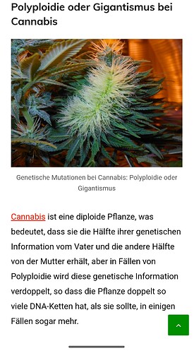 Screenshot_20250102-130130