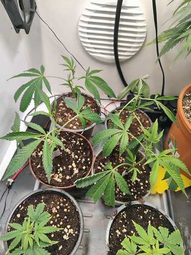 WhatsApp Image 2024-05-13 at 16.23.32