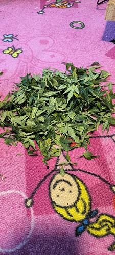 Growreport Bild 20